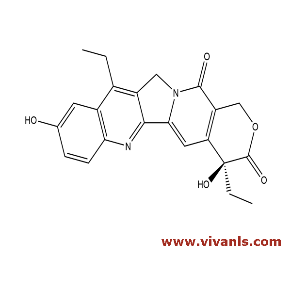 Metabolites-SN 38-1659010584.png